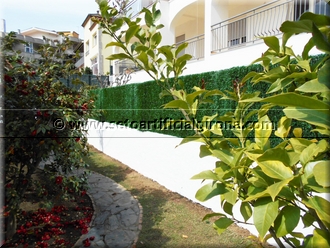 Montaje sobre muro de una valla de malla simple torsin y Seto Artificial Girona